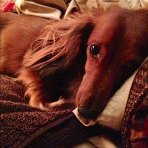 Meet your Posher, Raquel